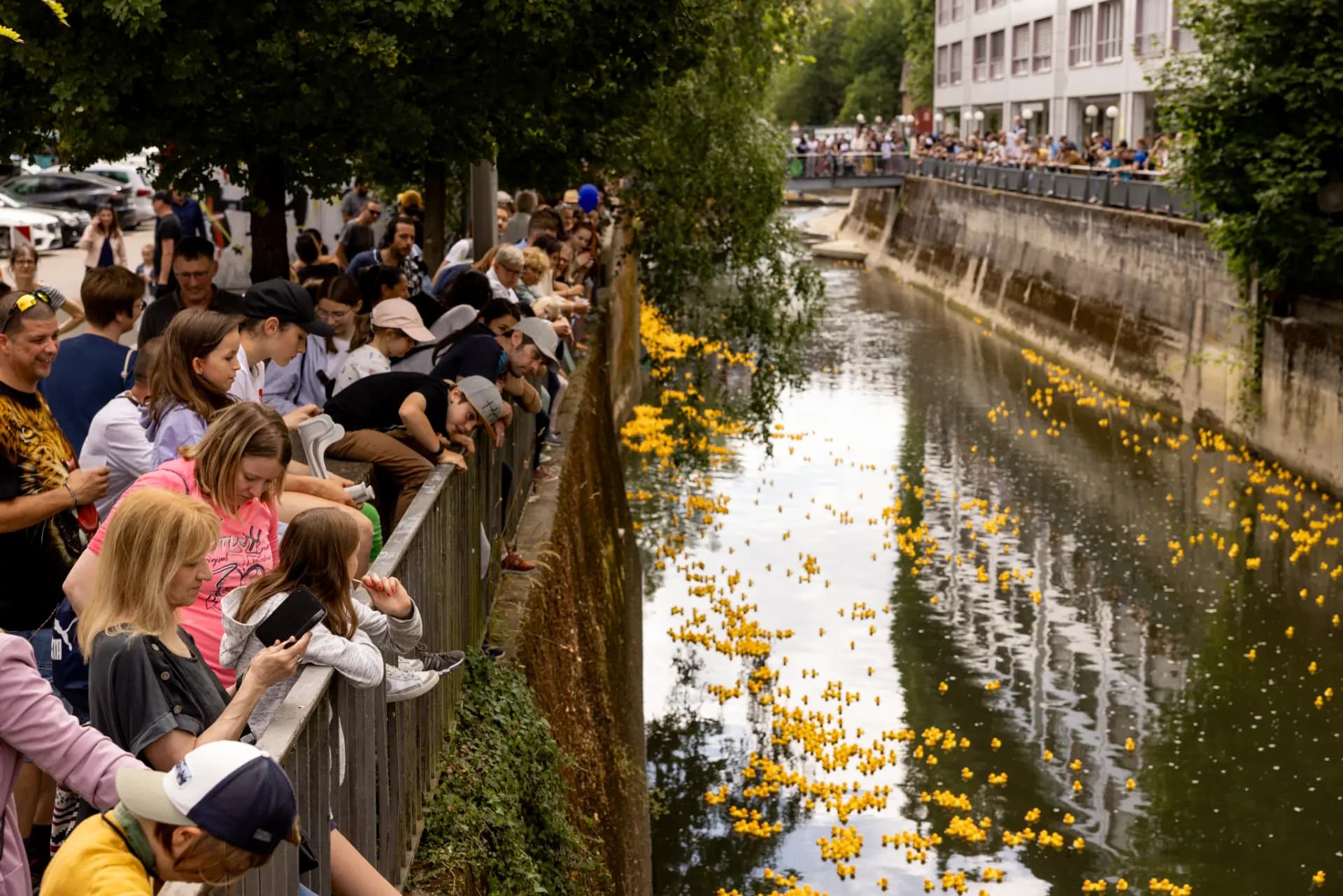 Zuschauerinnen und Zuschauer verfolgen das Duck Race an der Dünnern in Olten